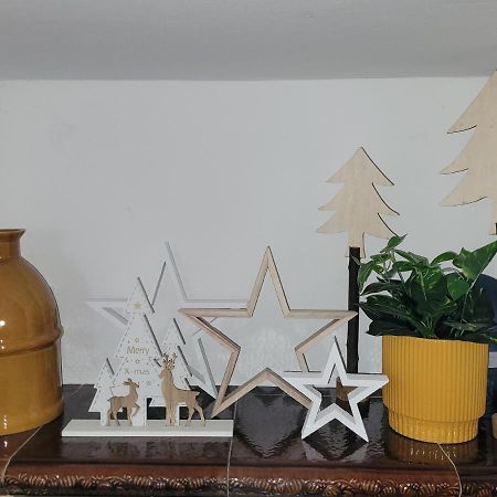 Family Apartment Linz Wohnen Mit Garten Am Fusse Des Poestlingbergs Top Lage Villenviertel Bagian luar foto