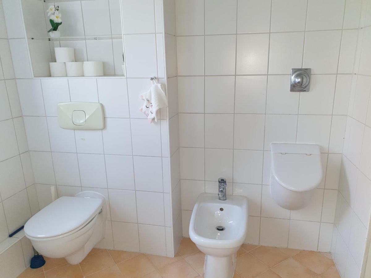 Family Apartment Linz Wohnen Mit Garten Am Fusse Des Poestlingbergs Top Lage Villenviertel Bagian luar foto