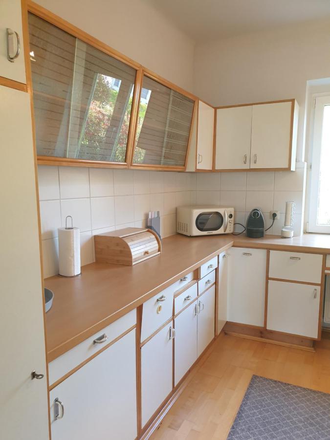 Family Apartment Linz Wohnen Mit Garten Am Fusse Des Poestlingbergs Top Lage Villenviertel Bagian luar foto