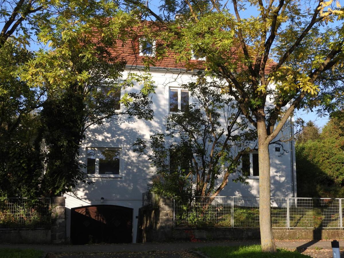 Family Apartment Linz Wohnen Mit Garten Am Fusse Des Poestlingbergs Top Lage Villenviertel Bagian luar foto