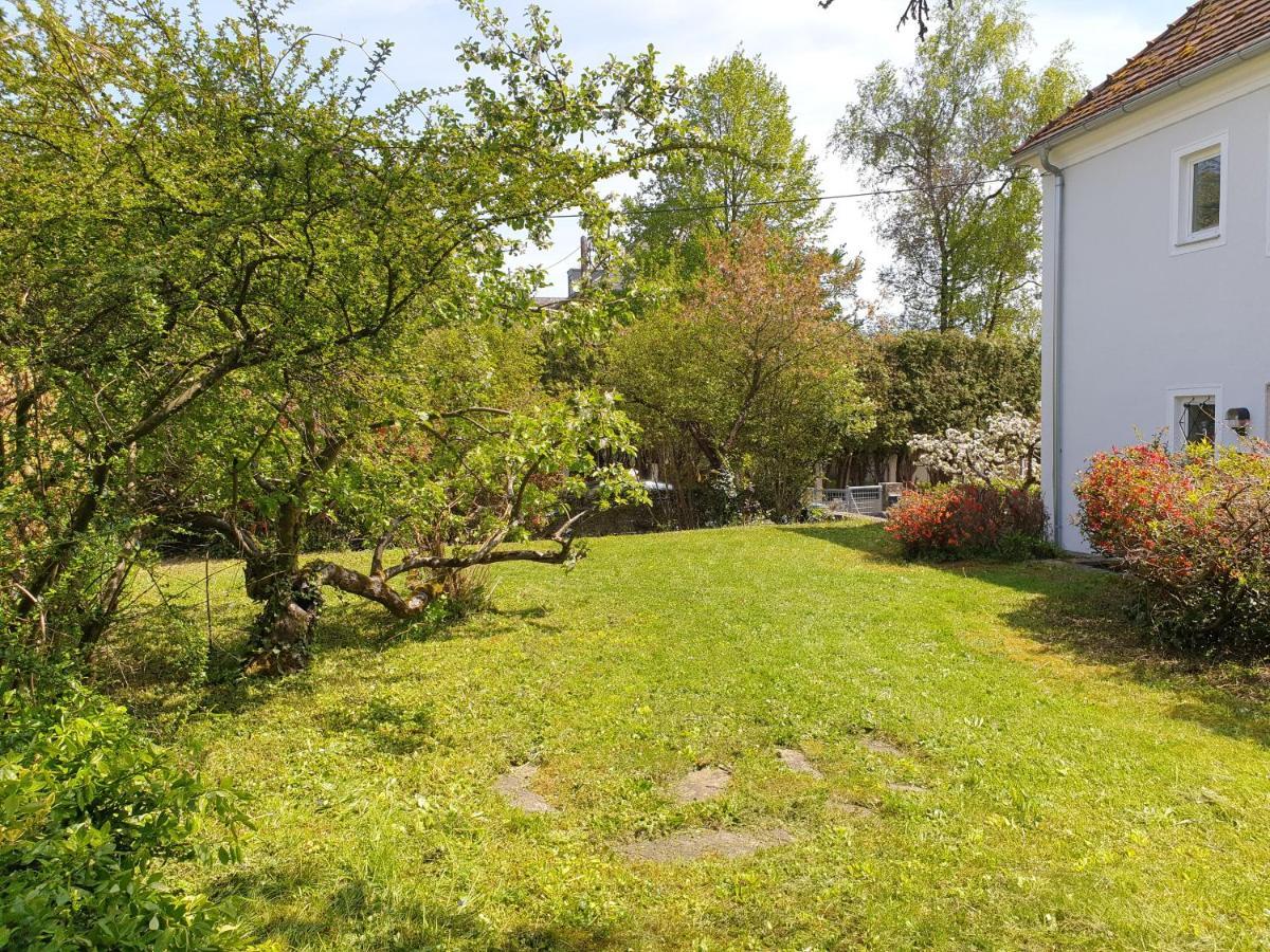 Family Apartment Linz Wohnen Mit Garten Am Fusse Des Poestlingbergs Top Lage Villenviertel Bagian luar foto