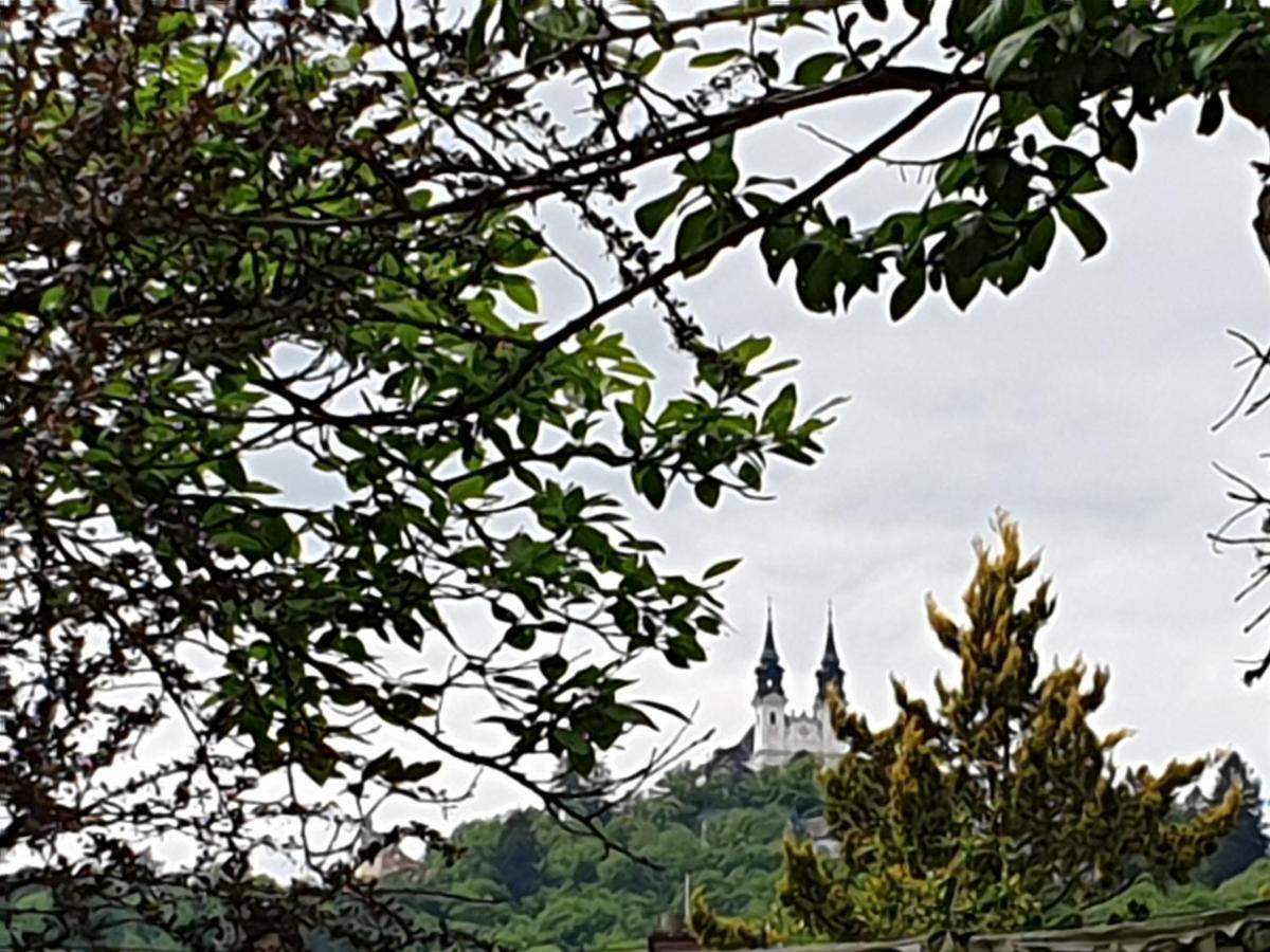 Family Apartment Linz Wohnen Mit Garten Am Fusse Des Poestlingbergs Top Lage Villenviertel Bagian luar foto