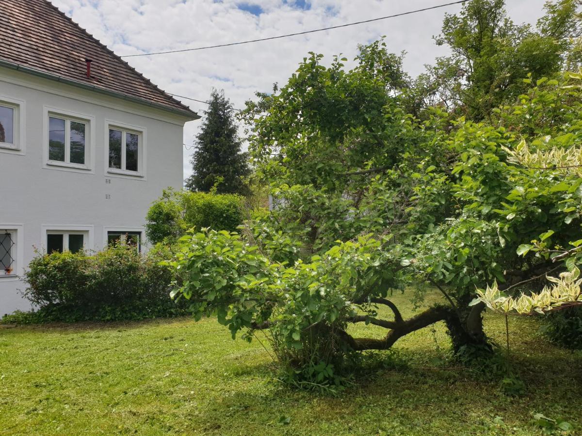 Family Apartment Linz Wohnen Mit Garten Am Fusse Des Poestlingbergs Top Lage Villenviertel Bagian luar foto