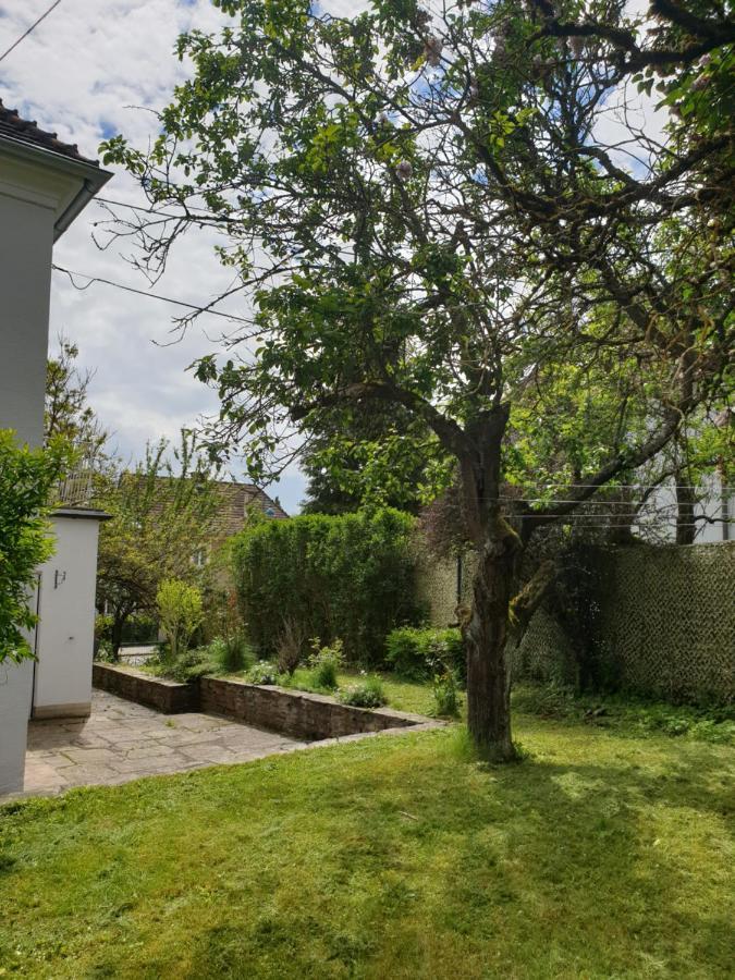 Family Apartment Linz Wohnen Mit Garten Am Fusse Des Poestlingbergs Top Lage Villenviertel Bagian luar foto