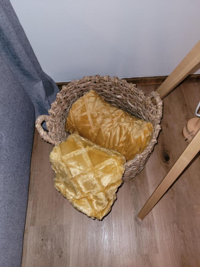 Family Apartment Linz Wohnen Mit Garten Am Fusse Des Poestlingbergs Top Lage Villenviertel Bagian luar foto