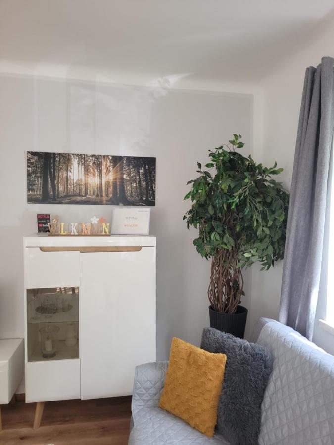 Family Apartment Linz Wohnen Mit Garten Am Fusse Des Poestlingbergs Top Lage Villenviertel Bagian luar foto