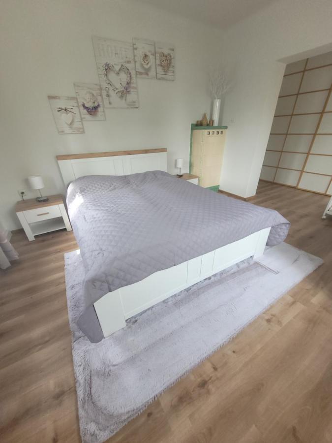 Family Apartment Linz Wohnen Mit Garten Am Fusse Des Poestlingbergs Top Lage Villenviertel Bagian luar foto